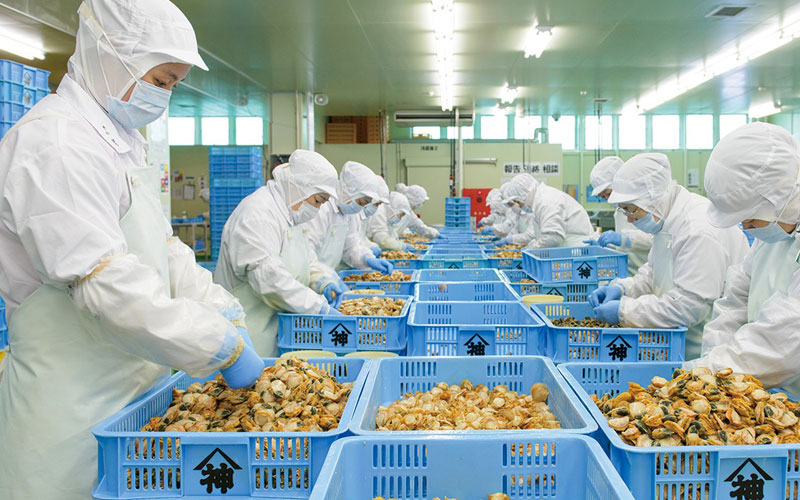 Đơn đóng gói Nhật Bản tại Hiroshima tuyển nữ phân loại và đóng gói hải sản khô, công việc nhẹ nhàng, nhiều việc làm thêm và thu nhập ổn định