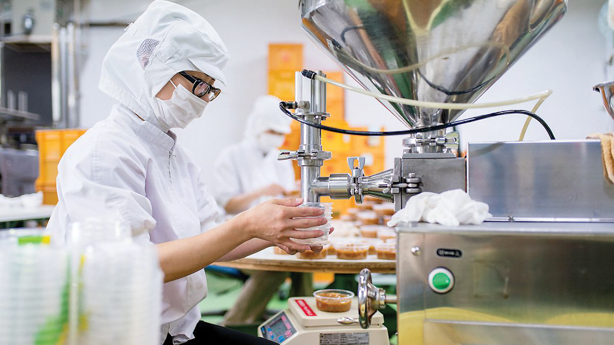 Thực Tập Sinh Chế Biến Thực Phẩm Nhật Bản 2026 – Thu Nhập 180.000 Yên/Tháng, Tuyển Nữ Làm Bánh Mì Và Đóng Gói Thực Phẩm