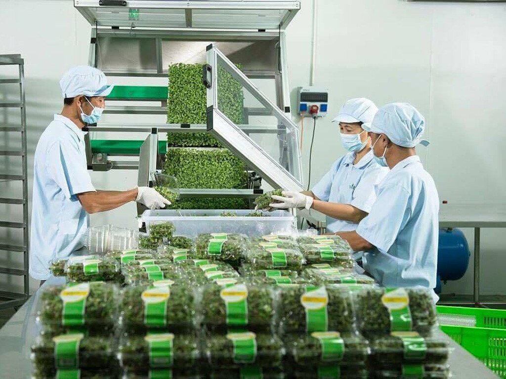 Chuyên viên công nghệ thực phẩm tại Đức với mức lương lên đến 2.520 Euro/tháng đang thu hút nhiều lao động Việt Nam muốn làm việc quốc tế và phát triển sự nghiệp lâu dài.